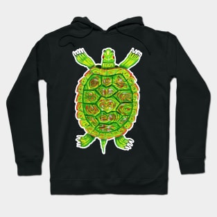 Psychedelic box turtle in acrylic Hoodie